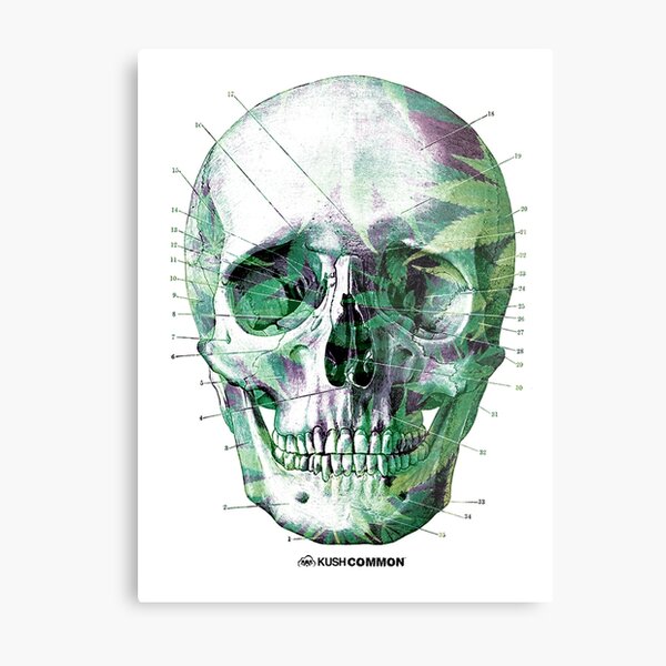 Pot Head Metal Print