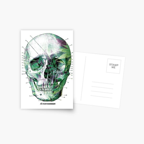 Pot Head Postcard