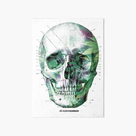 Pot Head Art Board Print