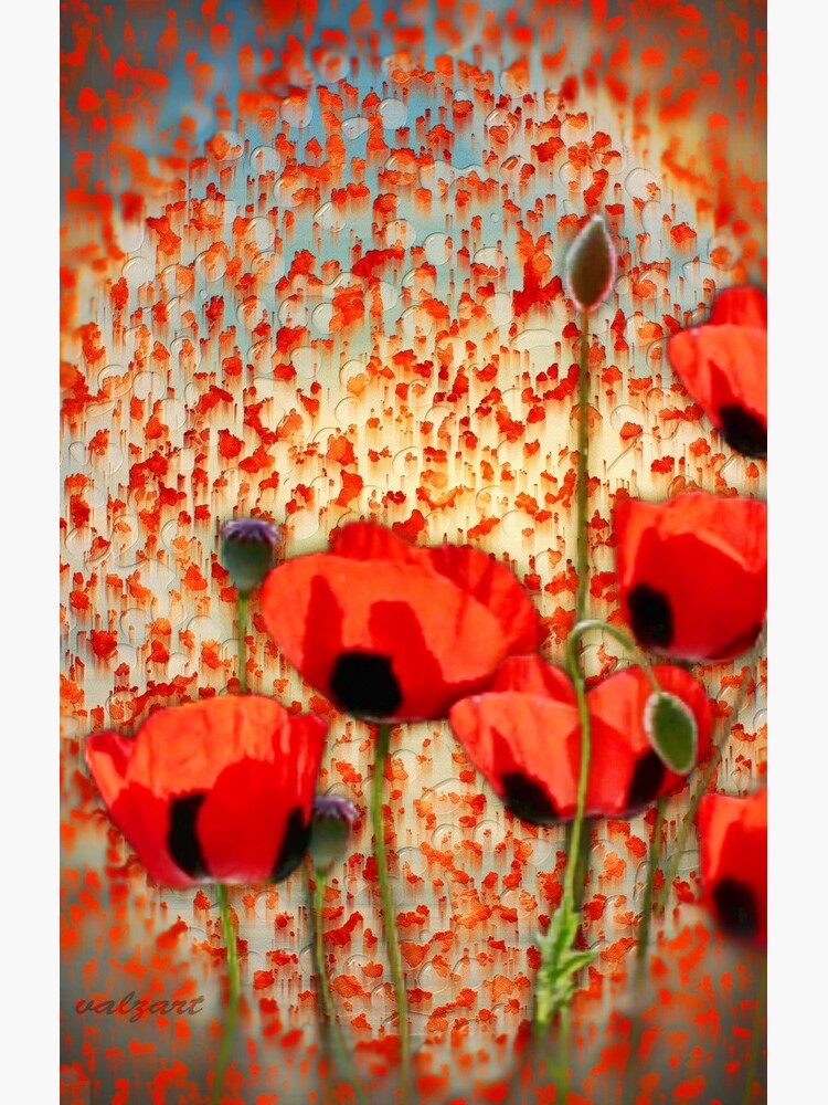 Flanders fields by valzart