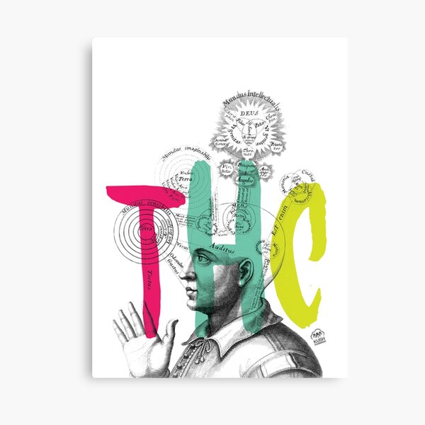 THC Minds Canvas Print