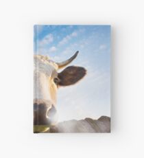 Schnaubender Stier Notizbuch