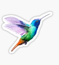 Flying hummingbird Sticker