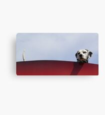 Up Yours ! Canvas Print