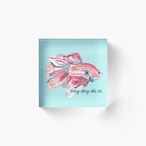 Betta fish: "Đừng động đến tôi." (Don't touch me.) Acrylic Block