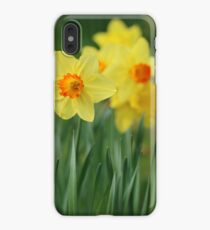 Shropshire Daffodils iPhone XS Max Case