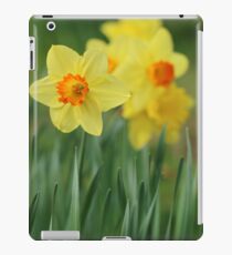 Shropshire Daffodils iPad Case/Skin