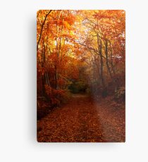 Autumn path, warm colors Metal Print