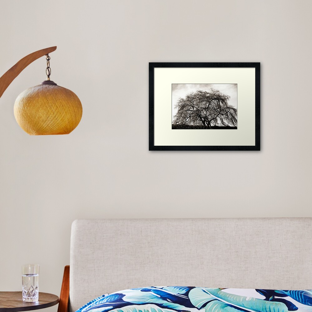 Willow Tree Framed Art Print