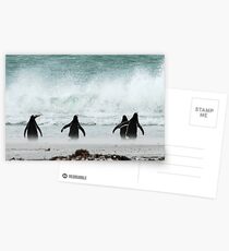 Penguins Postcards