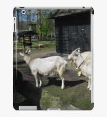 Goats iPad-Hülle & Klebefolie