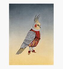 Petit monsieur Maxime Photographic Print