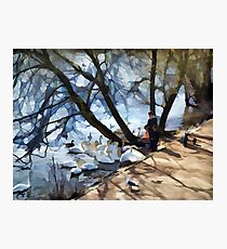 Feed The Birds................. Photographic Print
