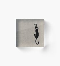 Schwarze Katze, die an hält Acrylblock