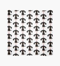 Dachshund Puppy Love Scarf