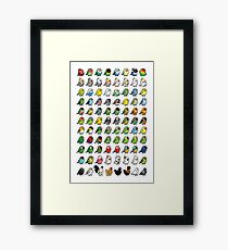 The Chubby Bird Collection Framed Print