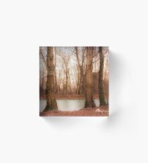 Landscape Acrylic Block