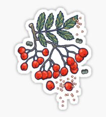 Magic rowan Sticker
