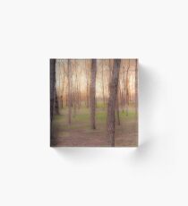 Landscape Acrylic Block