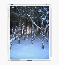 Trees & Light featured in "#1 Artists of RedBubble", "Inspired Art", Live...Love...& Dream" & The Great Outdoors" iPad Case/Skin