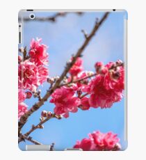 Pink Blossoms Against a Blue Sky iPad Case/Skin