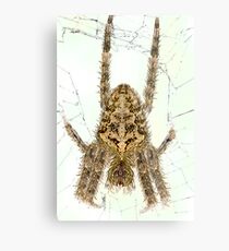 Hairy Metal Print
