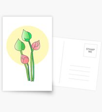 Buddhist. Postcards