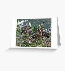 introductions Greeting Card