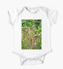 Dried Pods One Piece - Short Sleeve