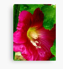 POLEN Canvas Print