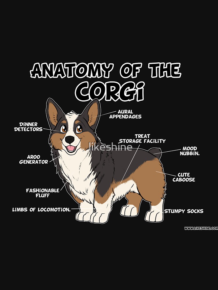 tricolor corgi shirt