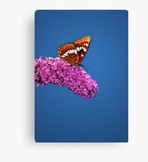 LORQUIN'S ADMIRAL Canvas Print