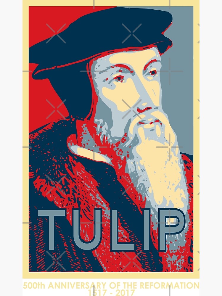 "Calvin TULIP" Poster by SeeScotty Redbubble