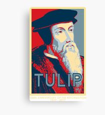 Calvin TULIP Canvas Print