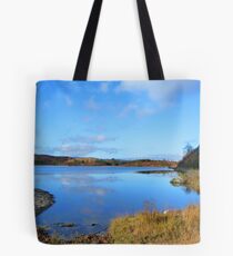 Loch Rotmell in Autumnal Weather Tote Bag