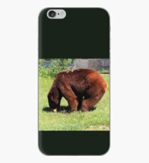 Cinnamon Black Bear iPhone Case