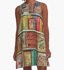 A Daydreamer's Book Shelf A-Line Dress