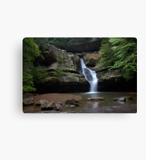 Cedar Falls Canvas Print