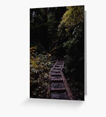 forest path Greeting Card