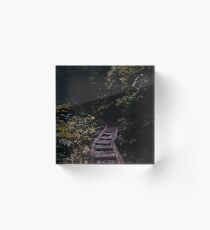 forest path Acrylic Block