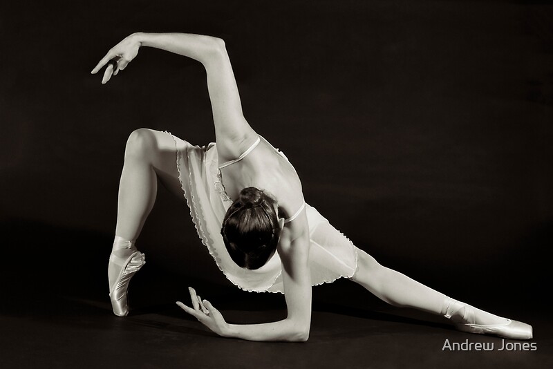 ballet moves ballet moves