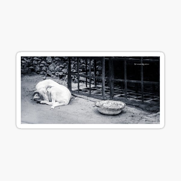 The Starving Goat Sticker