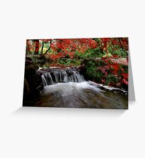 "Autumn's Water Fall in Red" Greeting Card