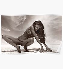 Puma.2008. Poster