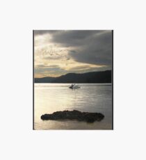 Light Silver of Ku-ring-gai Art Board Print