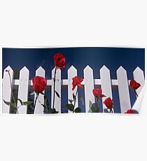 Blue Velvet Poster