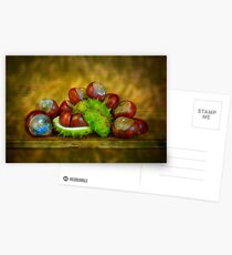 Conker Season Postcards