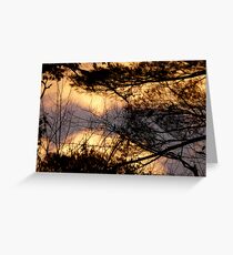 Wild Dawn Greeting Card