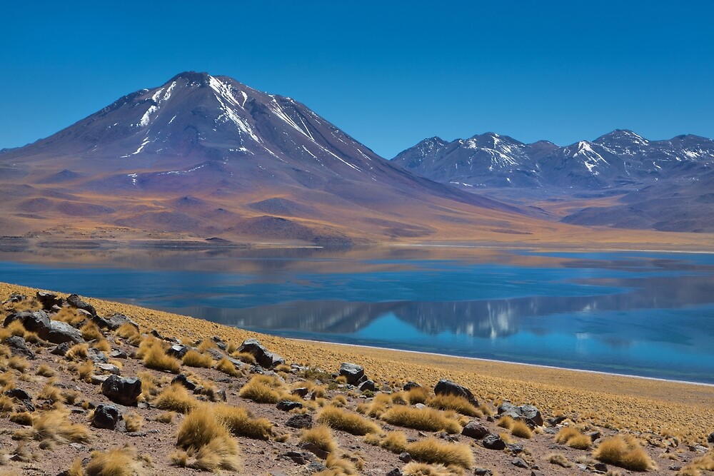 “Laguna Miscanti” by Dave Hare | Redbubble