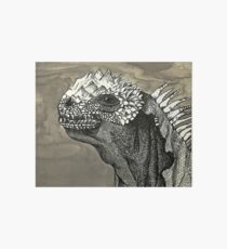 Iguana Art Board